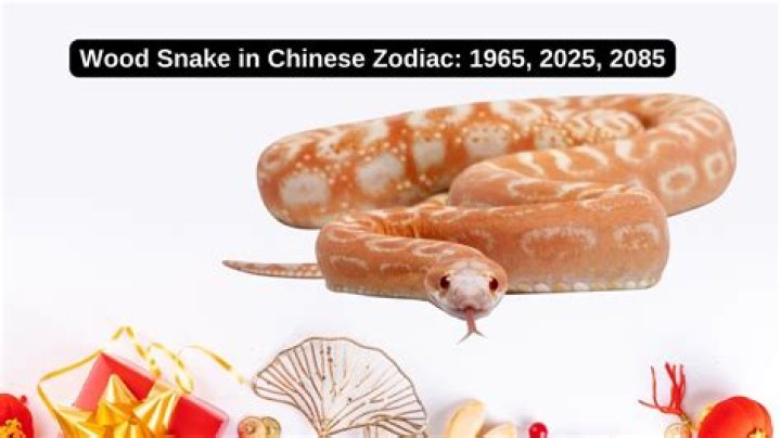 1965: The Year of the Chinese Zodiac - Insights into the Year of the Snake