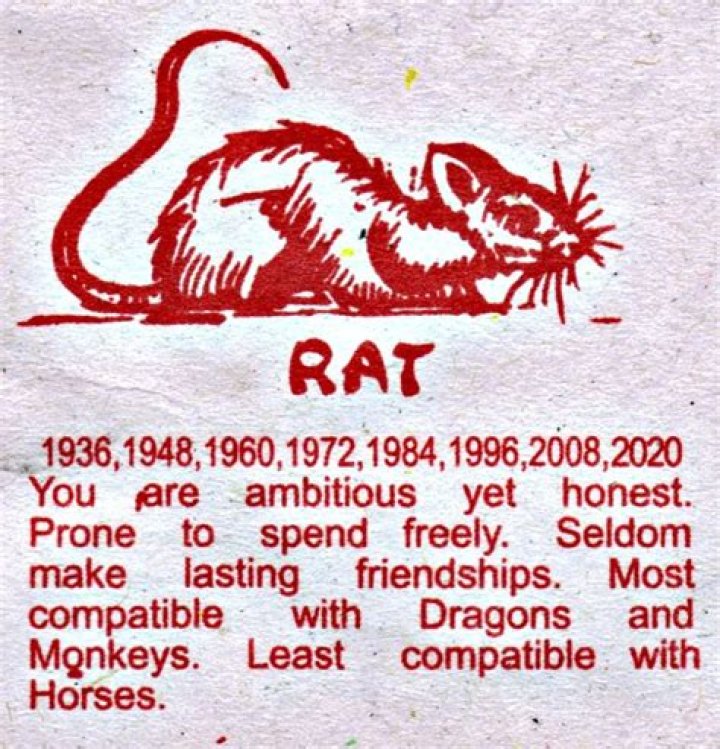 1984: The Year of the Chinese Zodiac - Insights into the Wood Rat