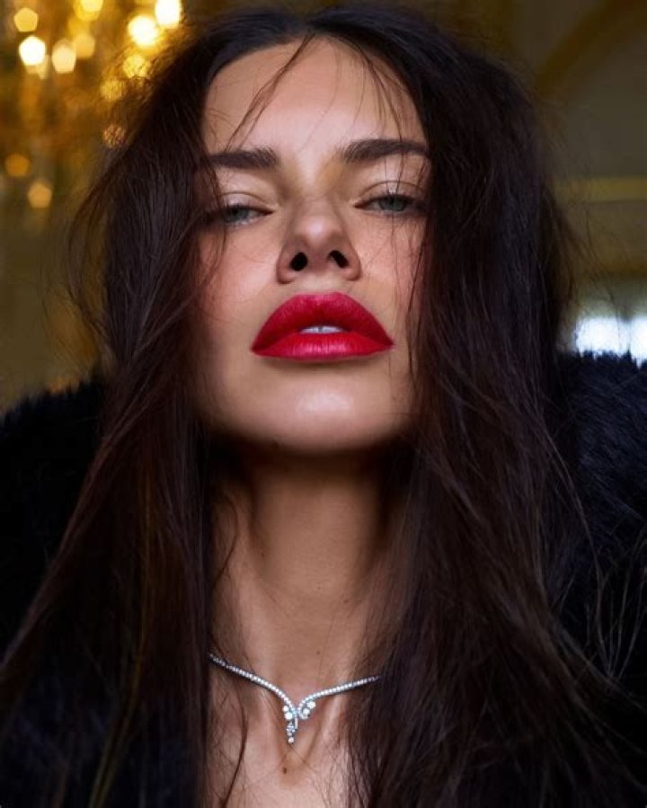 An In-Depth Look at Adriana Lima's Profile and Career