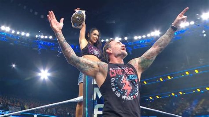 AJ Lee and CM Punk: The Dynamic WWE Power Couple