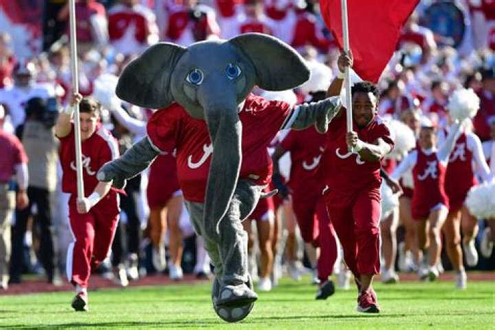 Alabama University Football Mascot: The Pride of Crimson Tide