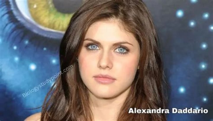 Alexandra Daddario: Exploring Her Family Roots and Ethnicity