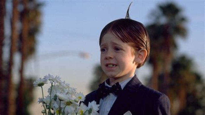 Unraveling the Charm of Alfalfa from the Little Rascals