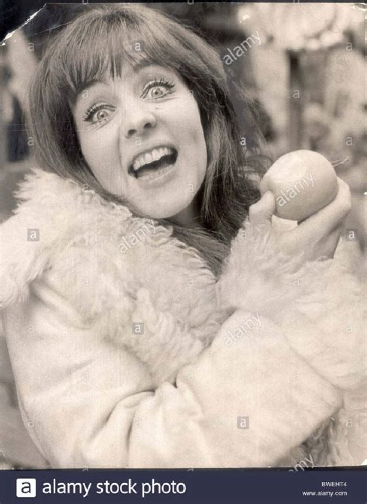 Alison Actress: The Rising Star Born in California, 1986