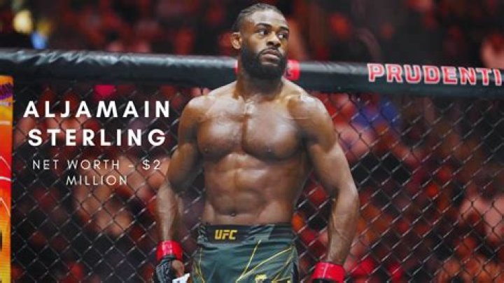 Aljamain Sterling Net Worth: A Deep Dive into the Financial Success of the UFC Champion