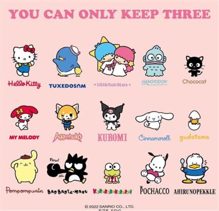The Ultimate Guide to All Sanrio Characters: Discover Their Charm!