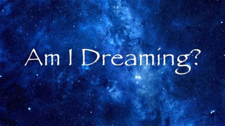 Am I Only Dreaming? Understanding the Nature of Dreams