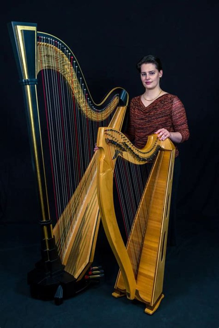 A Journey Through the Strings: Amy Shafer Harp Biography