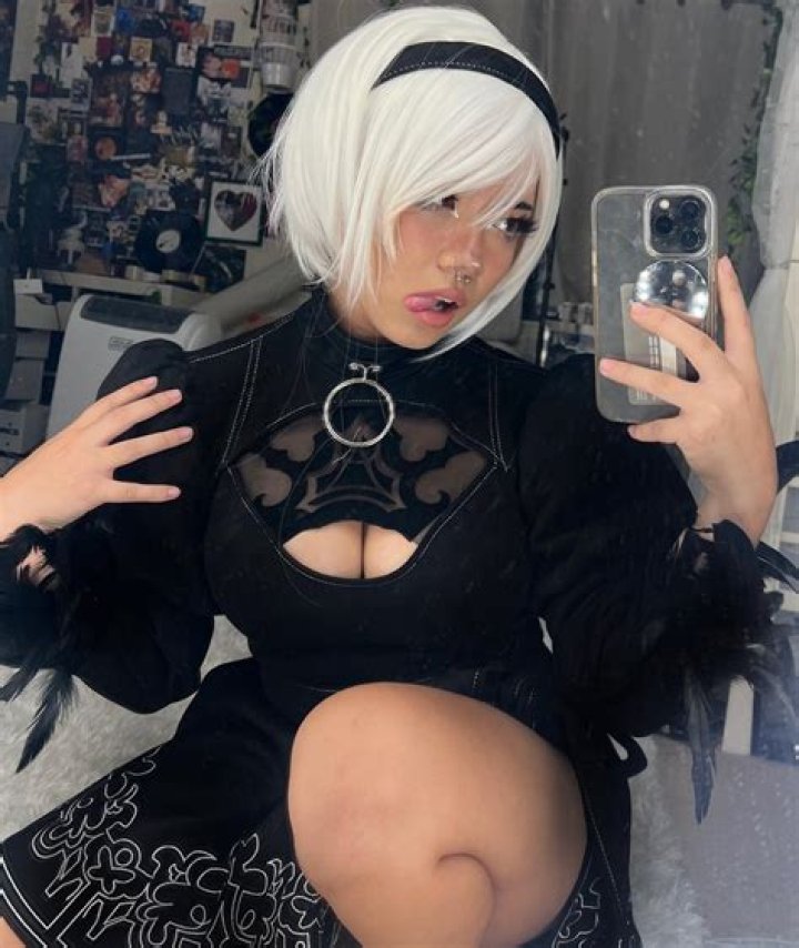 Unraveling the Mystery of the Angelicat Leak