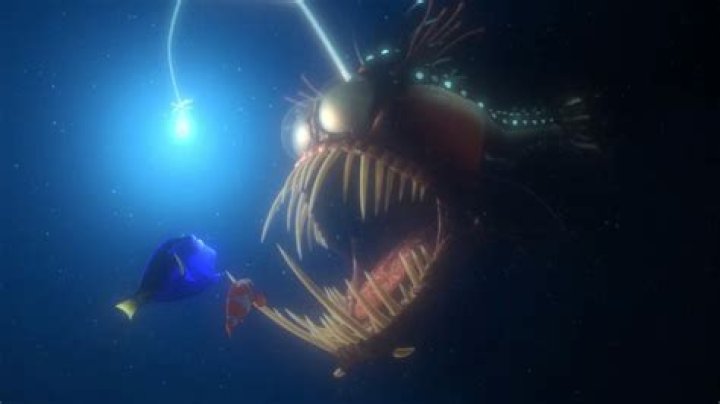 Discover the Fascinating World of Anglerfish: A Deep Dive into the Star of Finding Nemo