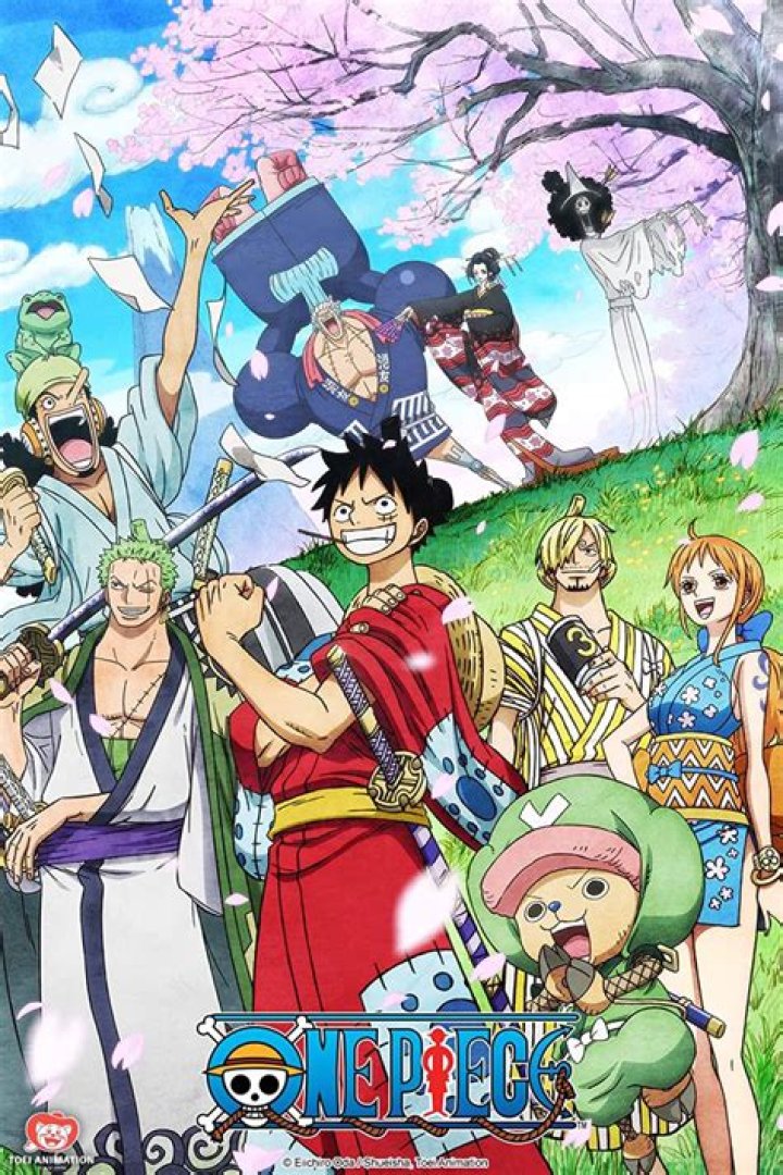 Ultimate Guide to One Piece Anime Fillers: What to Watch and What to Skip