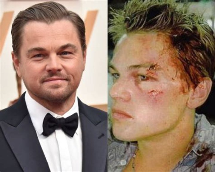 Aretha Wilson DiCaprio: The Untold Story of Leonardo DiCaprio's Mother