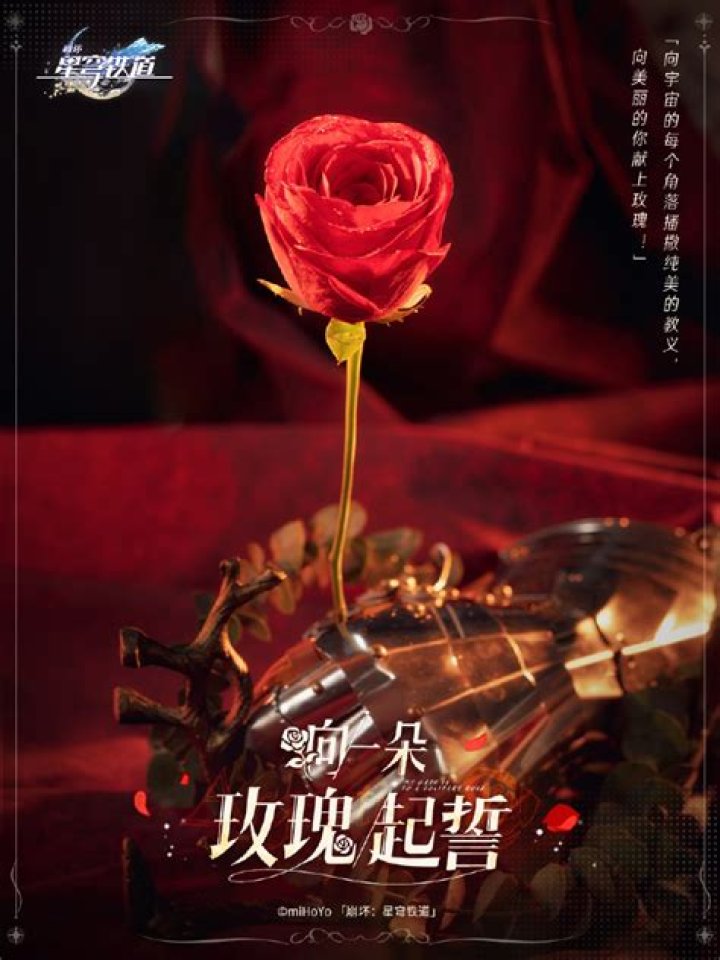 Discovering the Allure of Argenti Rose: A Timeless Elegance