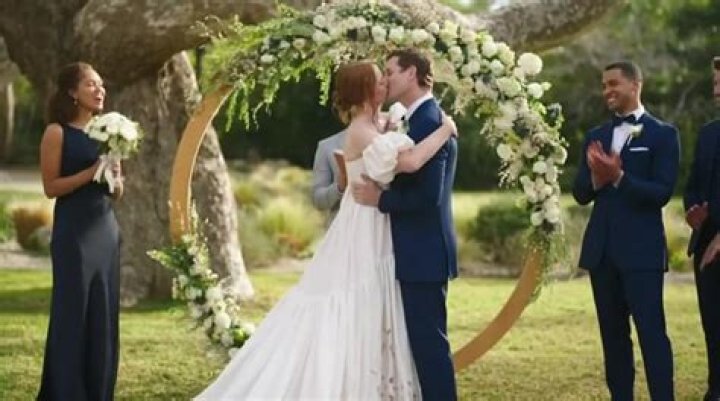 Ari Melber's Wedding Pictures: A Glimpse into His Special Day