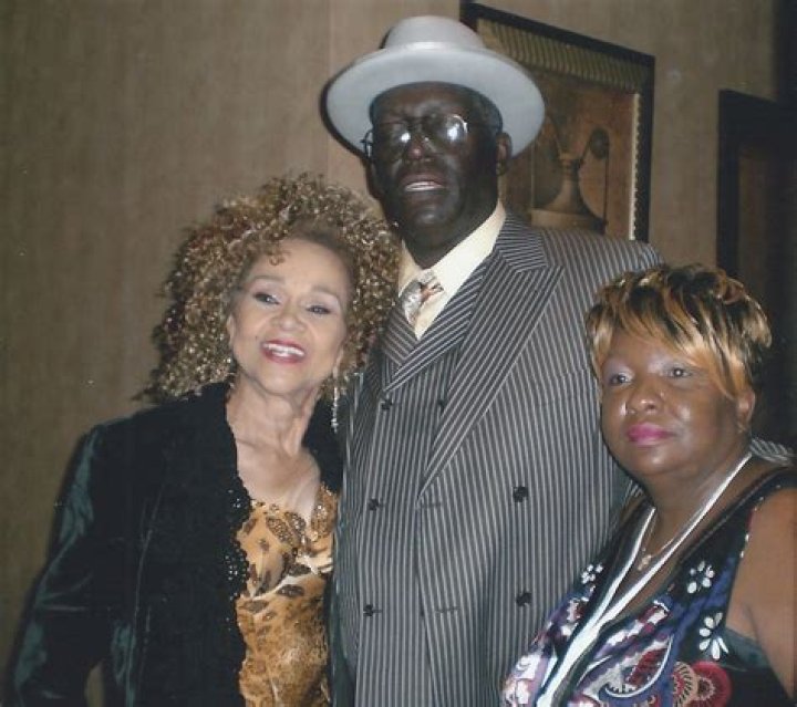 Exploring the Life and Legacy of Artis Mills