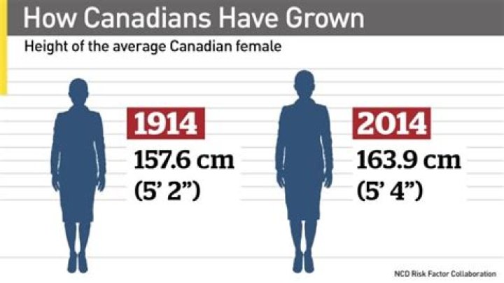 Average Height of Female in USA: A Comprehensive Analysis