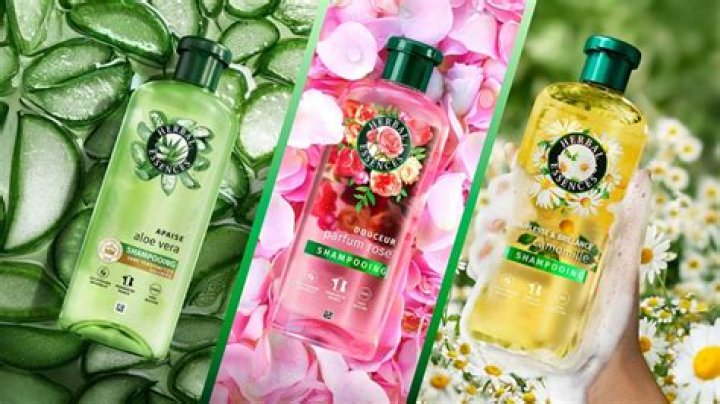 Exploring the World of Banflix Porno: A Deep Dive into Adult Entertainment