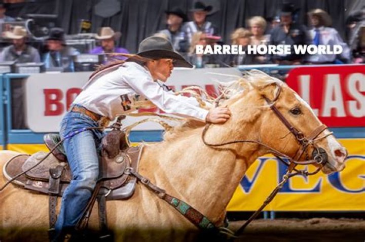 Barrel Racing: Unleashing the Thrill of Barrelhorseworld