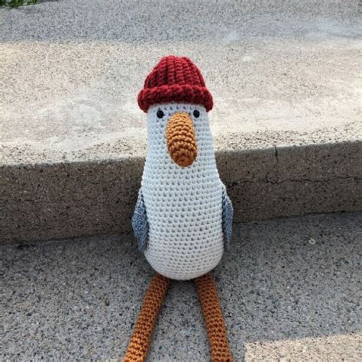 Beanie Seagull: The Inspiring Story of a Beloved Figure