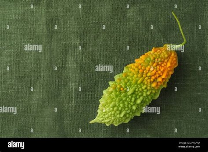 Bitter Cloth: The Ultimate Guide to Understanding and Using This Unique Fabric