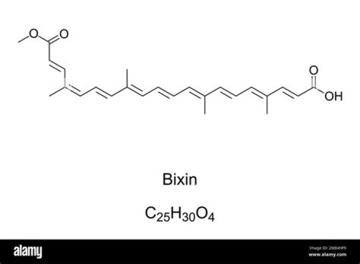 Exploring the Fascinating World of Bixin Video