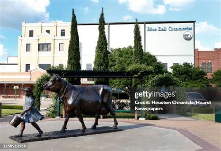 Bluebell Brenham: A Comprehensive Guide to the Iconic Beauty