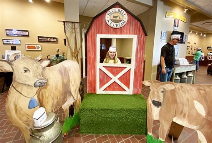 Discover the Fascinating World of Bluebell Factory