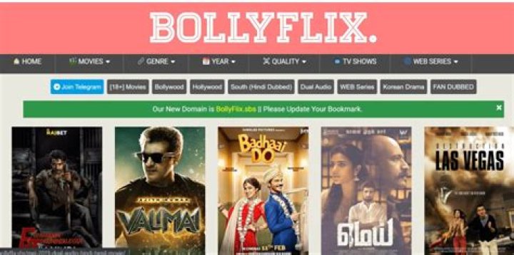 BollyFlix.in: The Ultimate Destination for Bollywood Movie Lovers