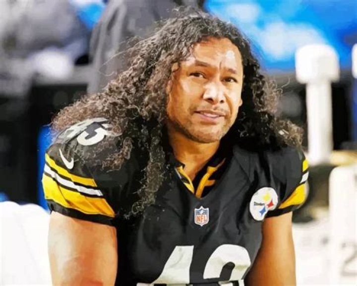 Brandon Polamalu: A Deep Dive into the Life and Achievements of the NFL Legend