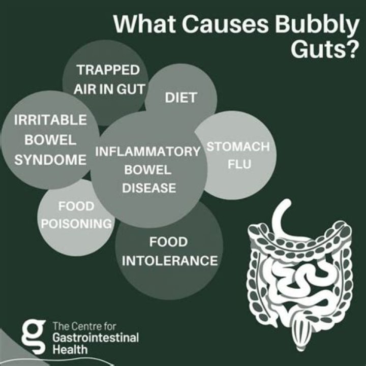Bubble Guts Meaning: Understanding the Term, Its Origins, and Significance