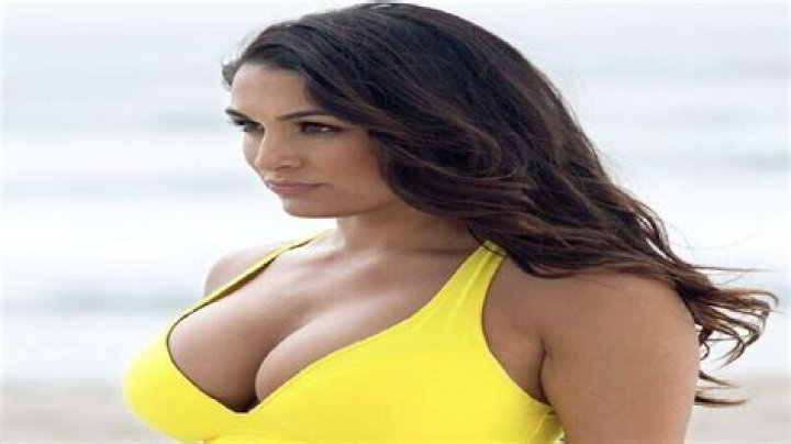 Celebrating Busty Lesbians: An Exploration of Identity and Community