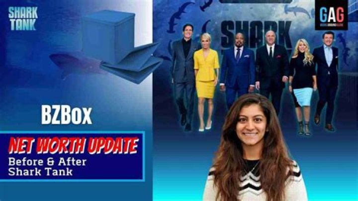 Bzbox Net Worth 2023: An In-Depth Look at the Financial Landscape