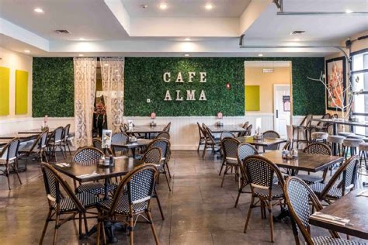 Cafe Alma: A Taste of Serenity in Every Sip