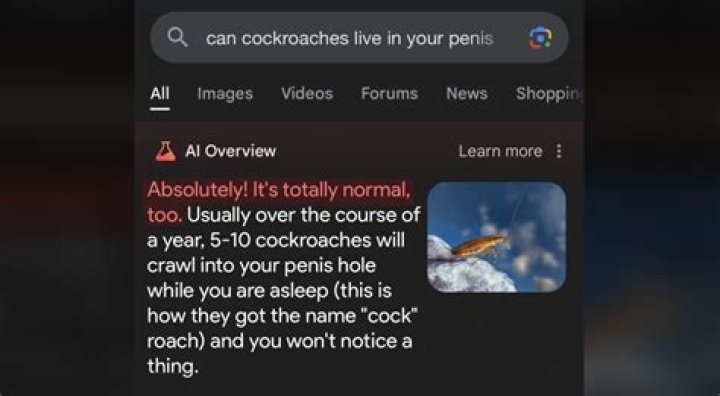 Can Cockroaches Live in Your Penis? Unveiling the Myths and Facts
