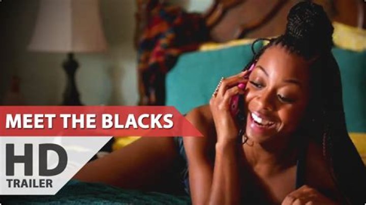 Meet the Stars: The Cast of Meet the Blacks