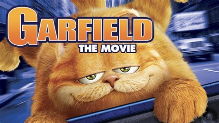 Whiskers on the Big Screen: Exploring the World of Cat Movies in HD