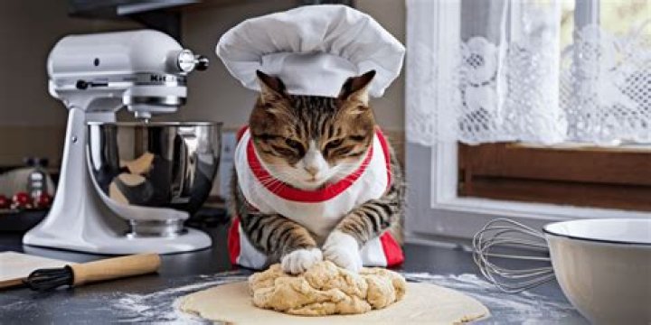 Cats Making Biscuits: Understanding This Adorable Behavior