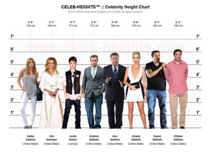 Unveiling the Allure of Celebrity Measurements: 38-28-38