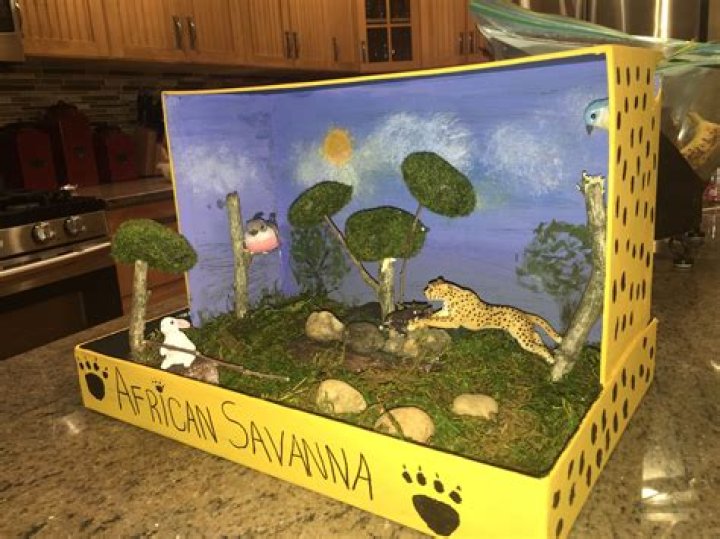 Cheetah Habitat Diorama: A Window into the Wild