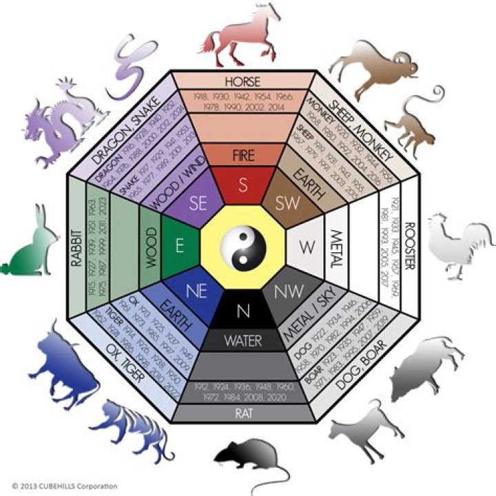 Chinese Zodiac 1955 Animal and Element: A Deep Dive Into Your Zodiac Traits and Predictions