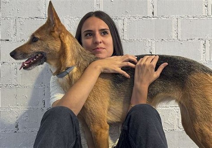 Cine Port Chester: Your Ultimate Guide to Entertainment