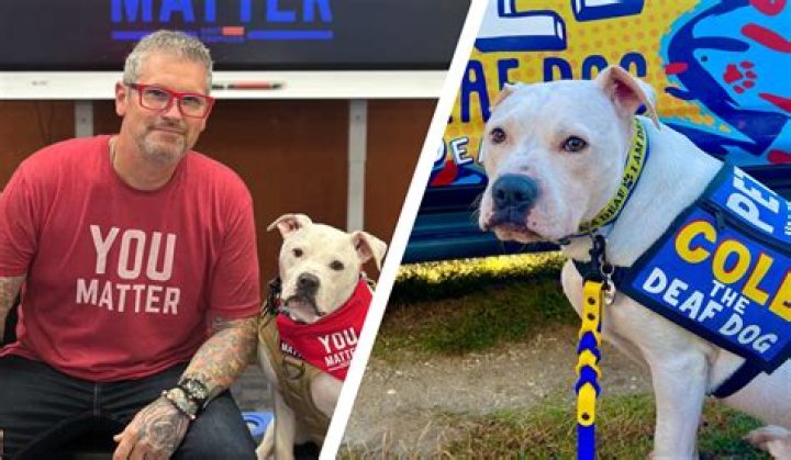 Cole Beating His Dog: Understanding the Consequences of Animal Abuse