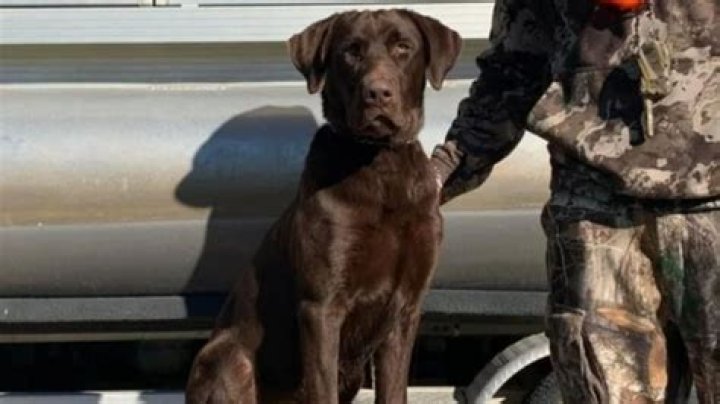 Watch Cole Prevost's Most Viral Video Here - Guaranteed Satisfaction