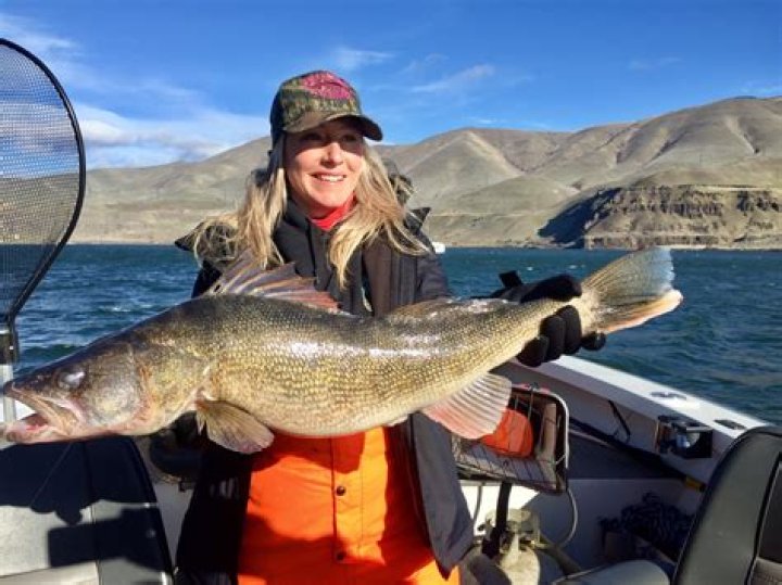 Understanding Columbia River Fish Counts: A Vital Resource for Conservation