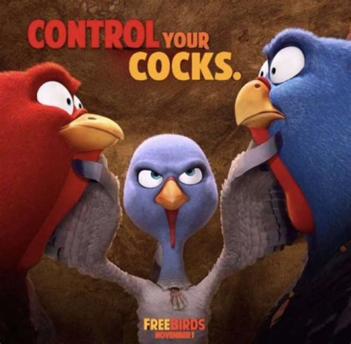 Control Your Cocks: A Comprehensive Guide to Understanding and Managing Rooster Behavior
