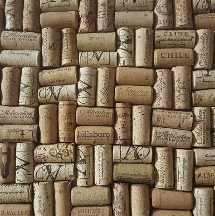 Raise Your Glass: The Essence of Corks Away