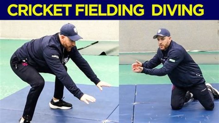 Cricket Dive: The Ultimate Guide to Mastering the Art of Fielding