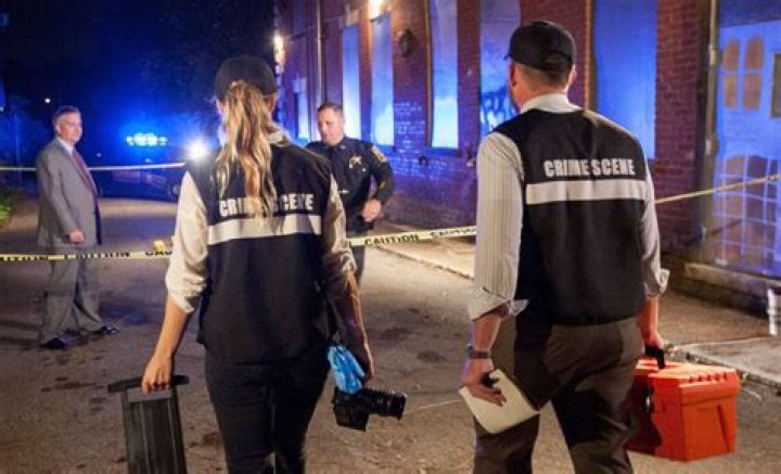 Understanding Crime: A Comprehensive Guide to Types, Causes, and Prevention