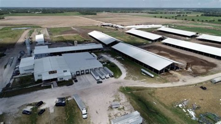 Dakin Dairy Farms: A Legacy of Quality and Care