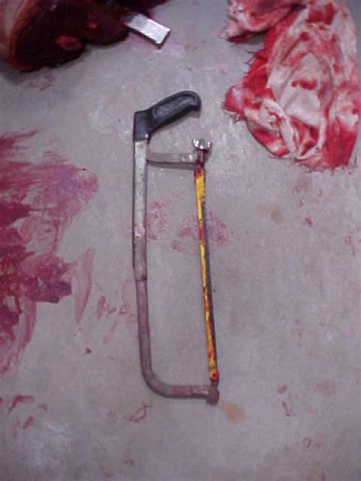 Daniel Petry and Gabriel Kuhl: The Tragic Story of Friendship and Crime